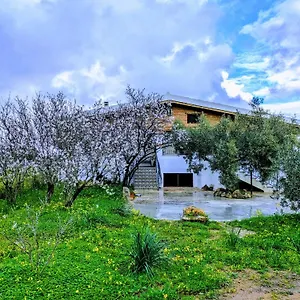 https://pirastreri.in-sardinia.net